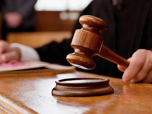Punjab and Haryana High Court Bar Association president Vikas Malik applies for bail in assault case