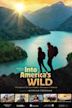 Into America's Wild