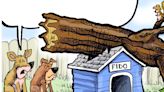 Felled tree crushes dog house in this week's You Toon caption contest