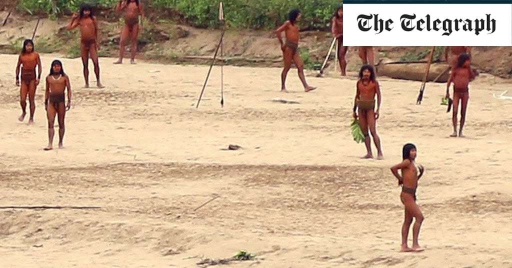 Watch: Uncontacted tribe affected by logging emerges from Amazon