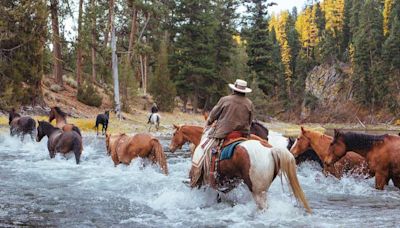 I Lived Like a Dutton at the Best Montana Dude Ranch for 'Yellowstone' Fans