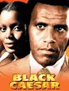 Black Caesar (film)