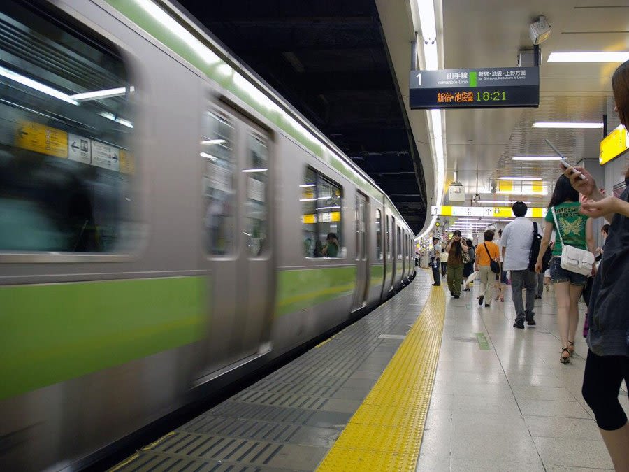 Snake on a train causes delays for 2,700 passengers