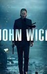 John Wick (film)