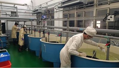 國原院首用氚水養海水魚 實驗輻射生物累積、強化監控機制