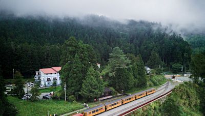 【阿里山夏日火車行1】檜木車廂、擬真螢幕畫框還有木製小別針 移動美術館「福森號」啟航細節一次看