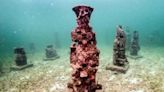 Colombian underwater ‘art gallery’ serves as coral home | Fox 11 Tri Cities Fox 41 Yakima