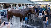 Kentucky Derby winner Mystik Dan continuing on to the Preakness far from a sure thing