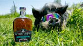 WhistlePig’s New Rye Whiskey Was Designed to Be an Easy-Drinking Summer Dram