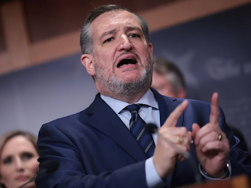 Ted Cruz Called Automatic Airline Refunds a ‘Dumb Idea.’ Senators Disagreed