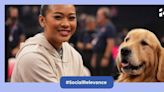 Meet Beacon, Team USA gymnastics' 'goodest boy' who soothes Olympics' stress with belly rubs and a wagging tail!