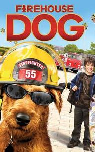 Firehouse Dog