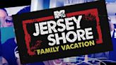 'Jersey Shore' Star Announces Engagement