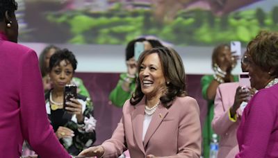 Harris focuses on her personal story, not Biden questions, as she speaks to Black and Asian voters