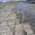 Tessellated pavement