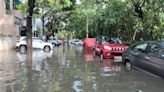 Defence Colony, Vasant Kunj: Delhi’s upscale areas waterlogged, RWAs point fingers at civic agencies