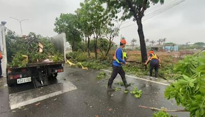 南部清晨暴雨"如颱風" 高雄茄萣路牌.樹木被吹倒