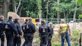 Search for 'lioness' near Berlin called off as authorities believe animal is actually a wild boar