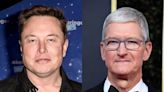 'I'm glad Elon is in the fight': Tech CEOs battling Apple's 30% App Store fee get unexpected ammo from Musk