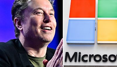 Elon Musk gloats over Microsoft outage by taking a swipe at tech giant on X