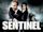 The Sentinel (2006 film)