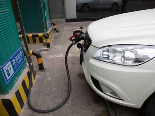 Govt mulls parking fee waivers for electric vehicles in cities to promote green transport, says housing minister