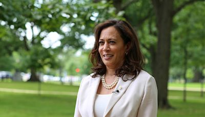 Kamala Harris 2024: Age, Family, Net Worth, and Political Career as She Bids for Presidency - EconoTimes