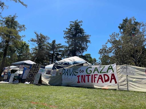 UC Davis pro-Palestine encampment contends with counterprotesters, spokesperson says