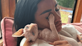 Katie Price forced to put down 5-month-old pet after backlash over animals