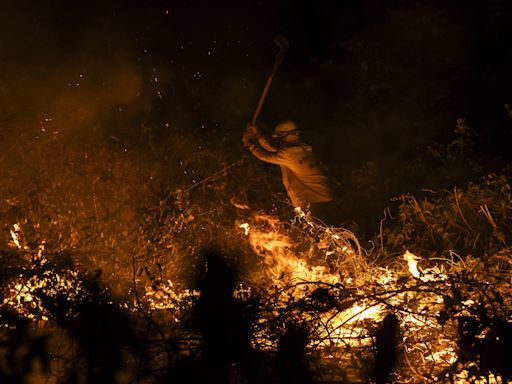 Entenda as diferenças do fogo em pantanal, cerrado e amazônia