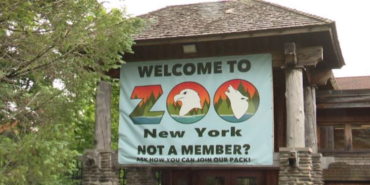 Zoo New York wants temporary hold on loan payments