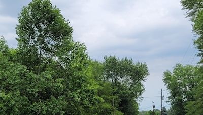 Storms in Madison County leave residents without power, knock down trees