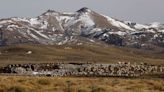 ¿Argentina en venta? La polémica tras el decreto de Milei que elimina el límite para que los extranjeros compren tierras