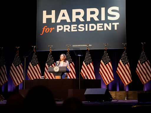 "Hombres blancos por Harris": la más reciente de las reuniones en Zoom a favor de la vicepresidenta
