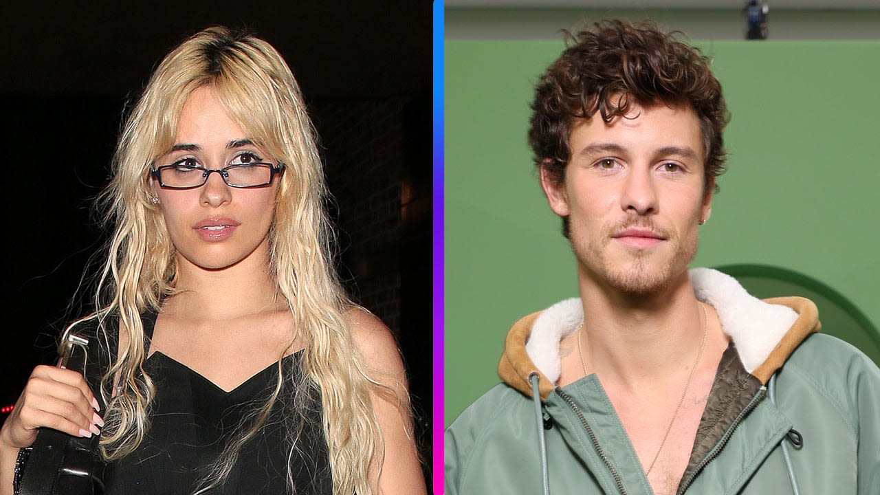 Camila Cabello and Shawn Mendes Spotted Together 1 Year After Breakup