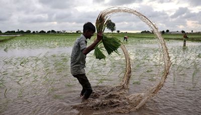 Budget 2024: Land and labour the focus of next generation of reforms