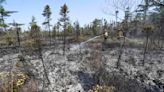 Habitantes de Halifax regresan a casas destruidas por incendios forestales