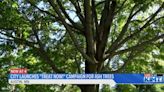 The City of Austin launches "Treat Now!" campaign to protect ash trees