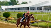 Preakness Stakes post time, odds, TV channel, live stream for Saturday's race