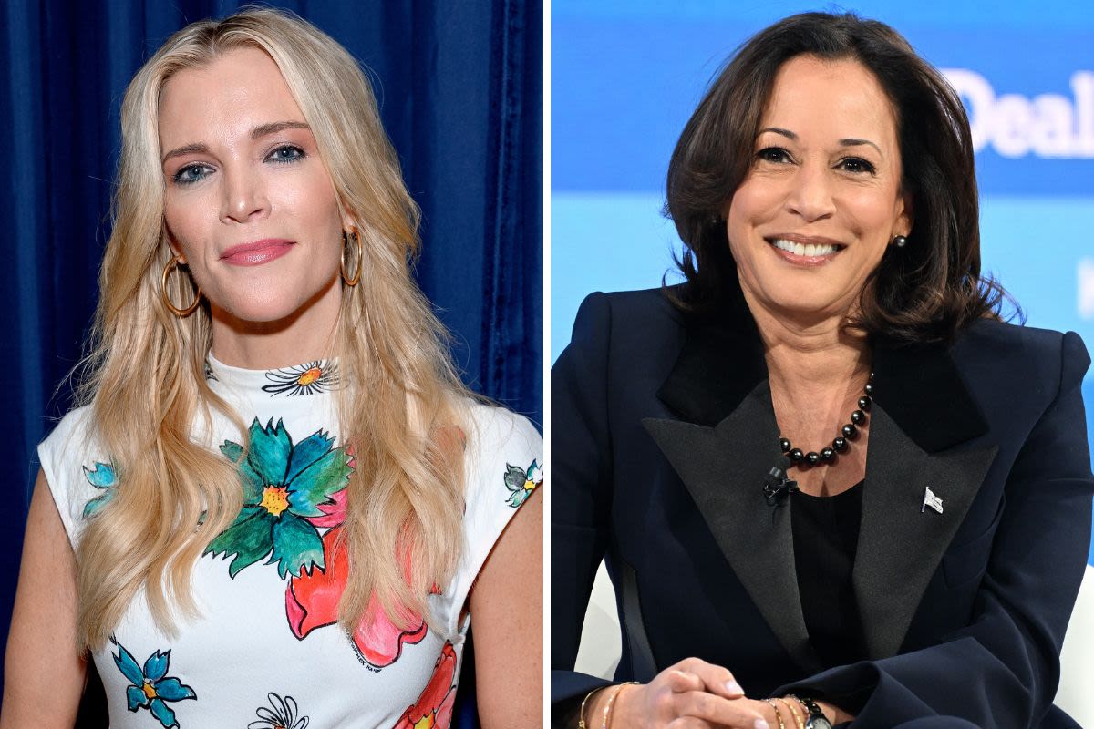 Megyn Kelly says Kamala Harris "slept her way" into politics