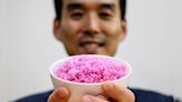 Revolutionary Food? Meat Injected In Individual Grains Of Rice In Seoul Lab