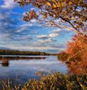 Tobyhanna State Park