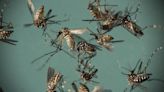 Zika virus: Doctor, his teenage daughter test positive for Zika virus infection in Pune