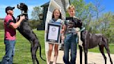 World’s tallest dog, Kevin, dies days after earning Guinness record title