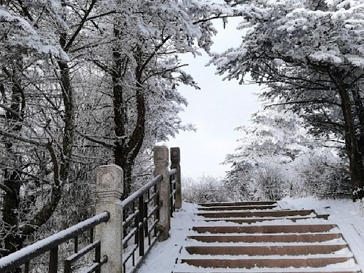 下雪了！北海道山區迎初冠雪 比去年早25天