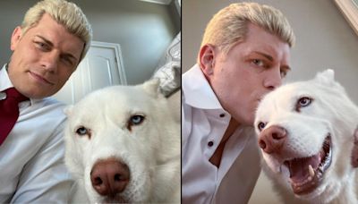 WWE’s Cody Rhodes Reveals Why His Dog Pharaoh Won’t Join Him on Tours Anymore