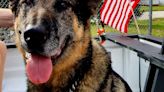 Military working dog Figo served his country. Now, he's being honored in Fayetteville