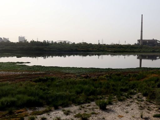 Yamuna River Floodplain has to be zealously protected from unauthorised constructions: Delhi HC