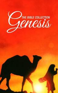 Genesis: The Creation and the Flood