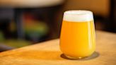 What Makes An IPA Hazy?